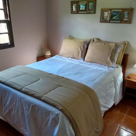 The Cats' House Hotell Florianópolis Eksteriør bilde