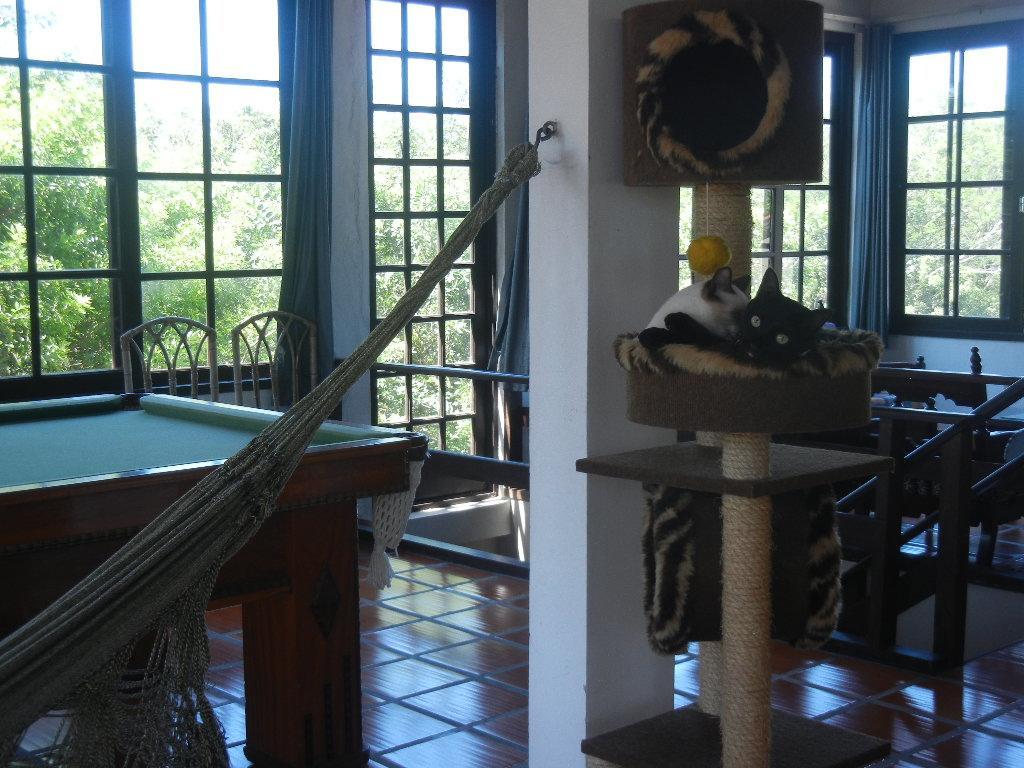 The Cats' House Hotell Florianópolis Eksteriør bilde