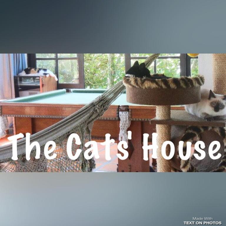 The Cats' House Hotell Florianópolis Eksteriør bilde