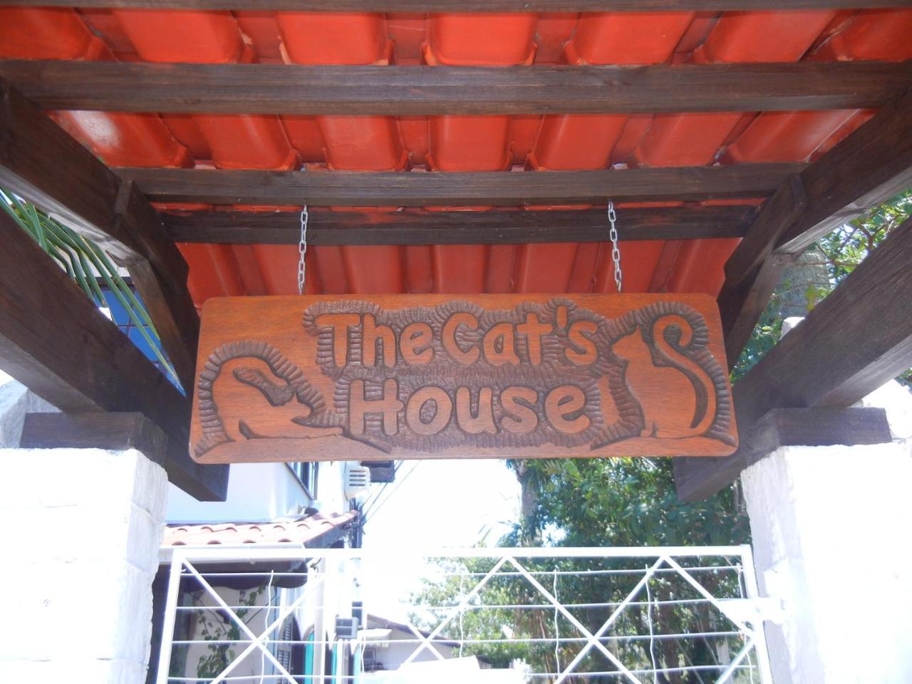 The Cats' House Hotell Florianópolis Eksteriør bilde