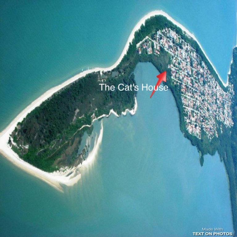 The Cats' House Hotell Florianópolis Eksteriør bilde